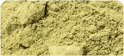 ORGANIC NETTLE POWDER