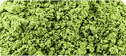ORGANIC WHEAT GRASS POWDER